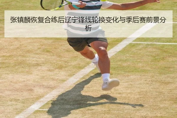张镇麟恢复合练后辽宁锋线轮换变化与季后赛前景分析