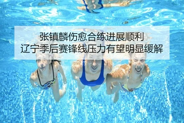 张镇麟伤愈合练进展顺利 辽宁季后赛锋线压力有望明显缓解